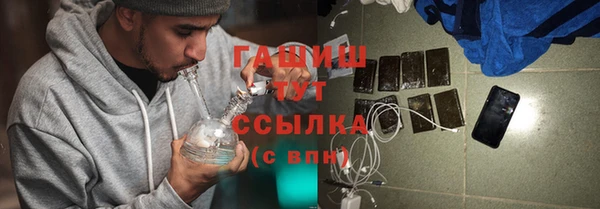 индика Аркадак