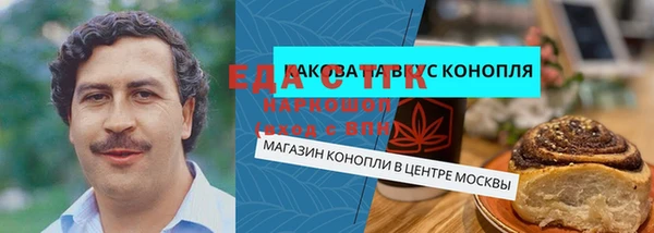 индика Аркадак