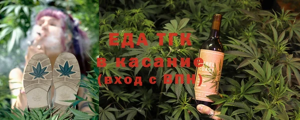 индика Аркадак