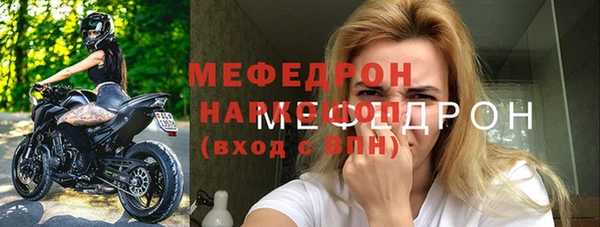 индика Аркадак