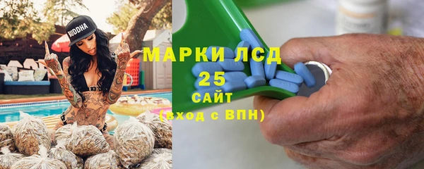 индика Аркадак