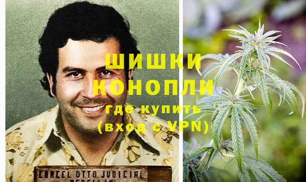 индика Аркадак