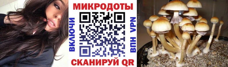 OMG зеркало  Урай  shop Telegram  как найти закладки  Псилоцибиновые грибы Magic Shrooms 